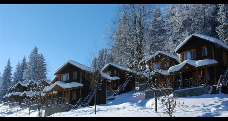 Zitaş Zigana Yayla Tatil Köyü Resim 9