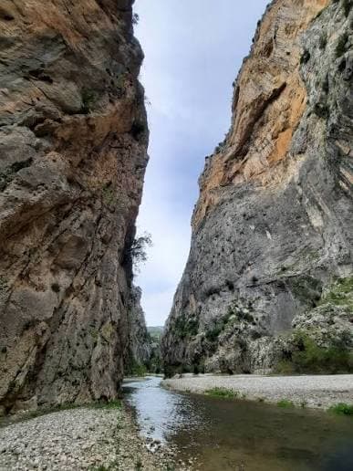 Adana