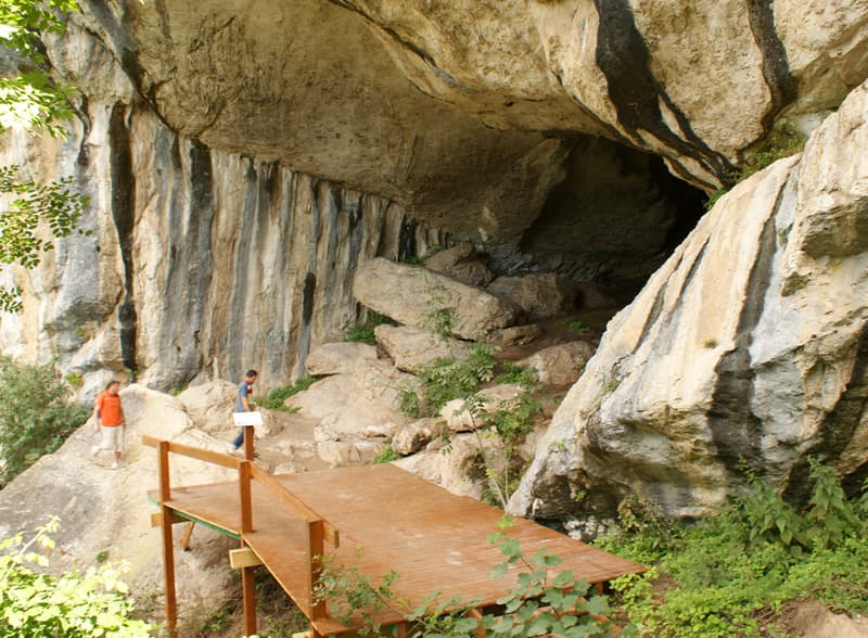 Tiran