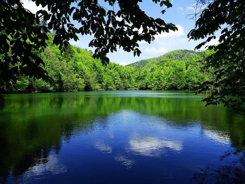 Bolu