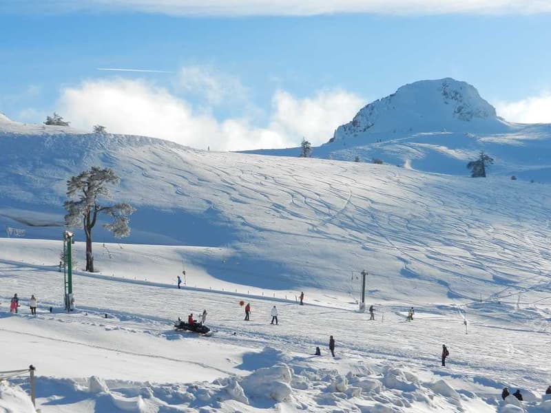 Bolu