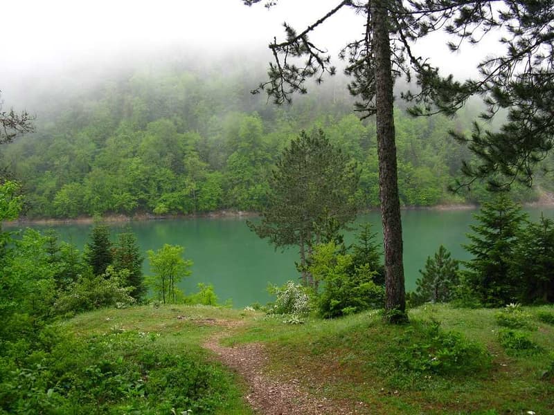 Bolu