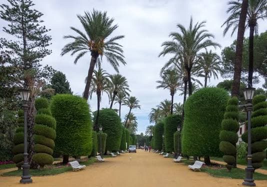 Cadiz