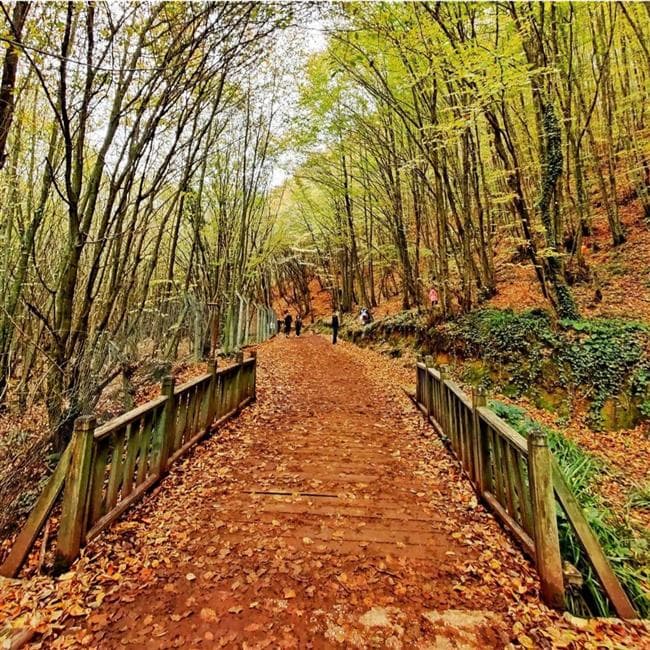 Polonezköy