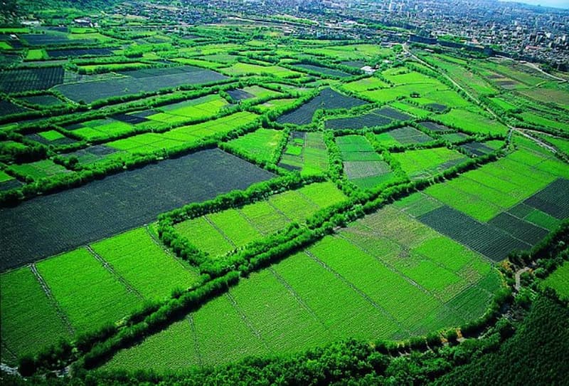 Diyarbakır