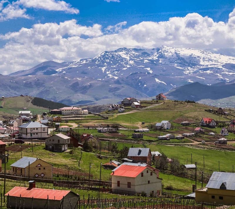 Ordu