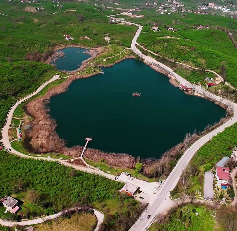 Ordu
