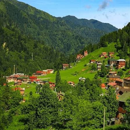 Rize