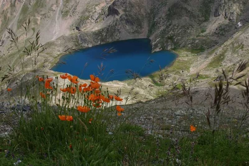 Rize