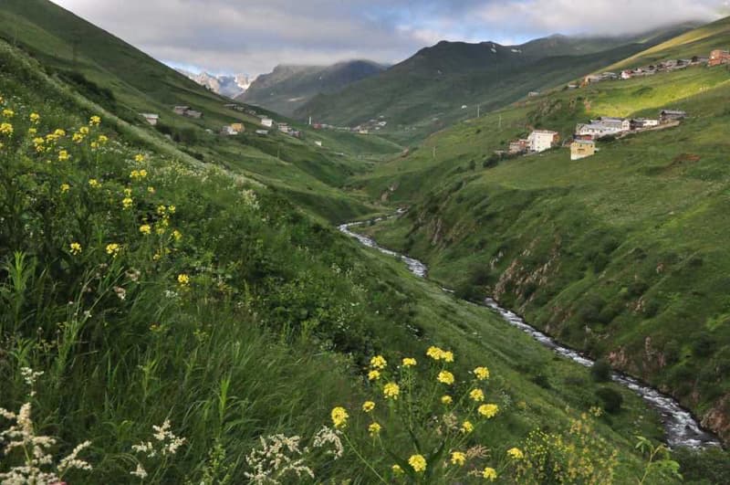 Rize