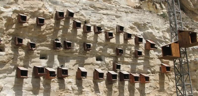 Şanlıurfa