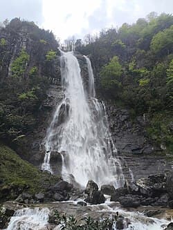Artvin