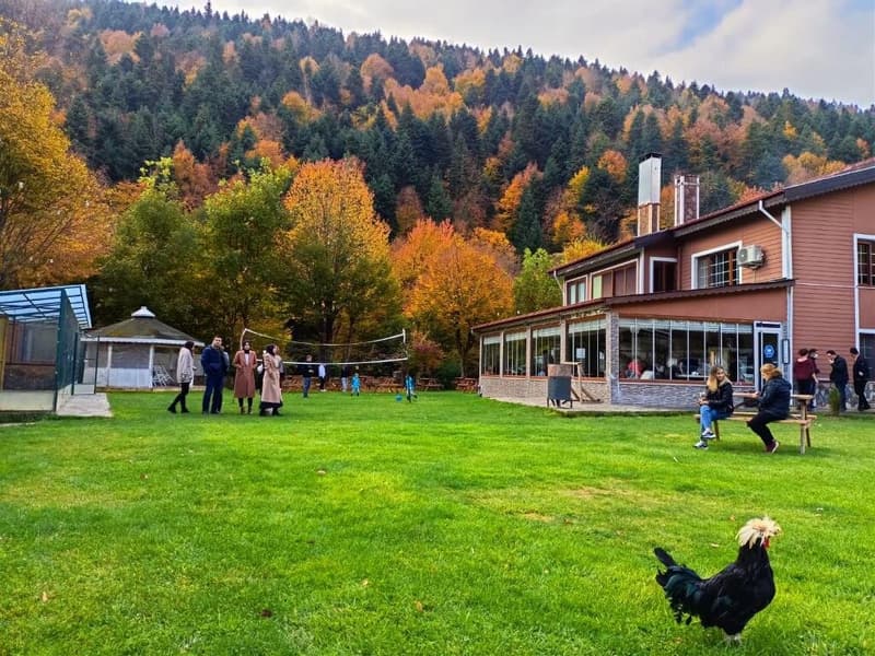 Abant Bahçeli Köşk Bungalov