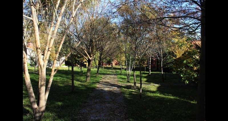 Ağaoğlu My Termal Otel