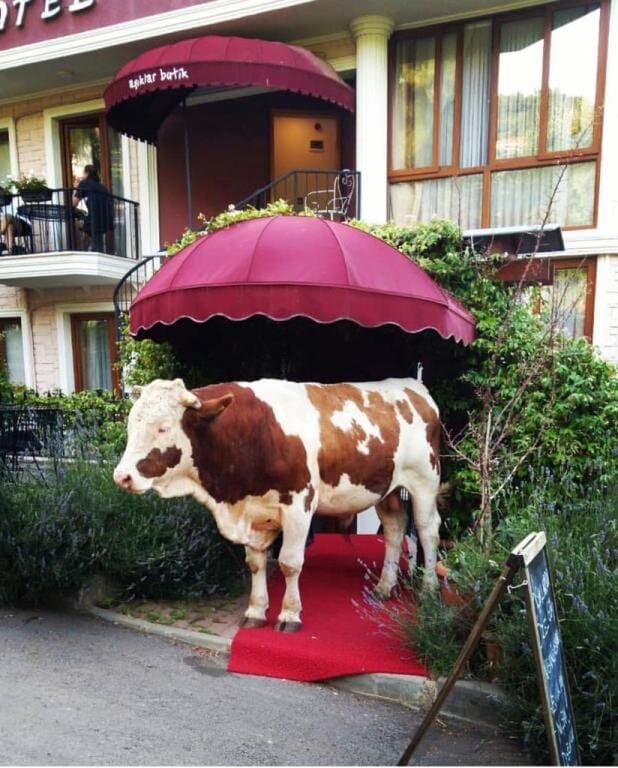 Aşıklar Hotel By Şükrü