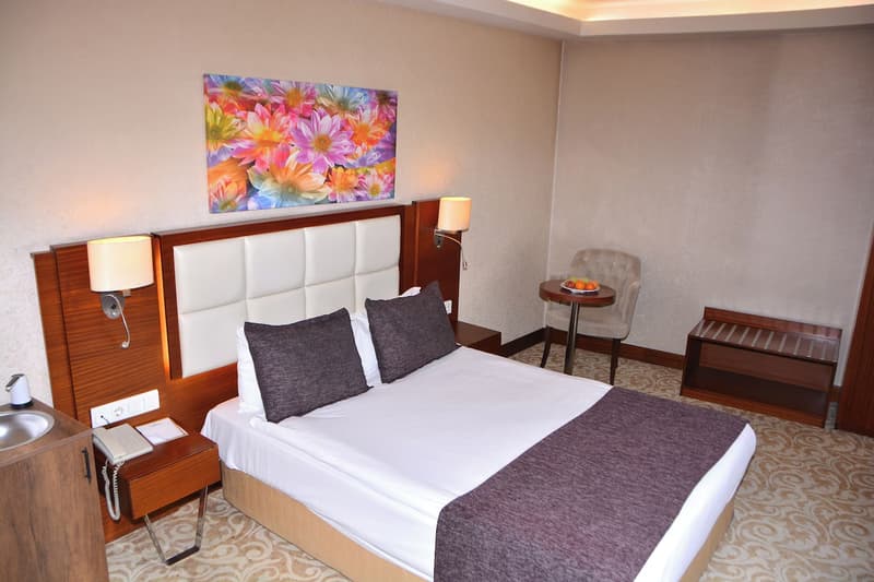 Asrın Business Hotel Ankara