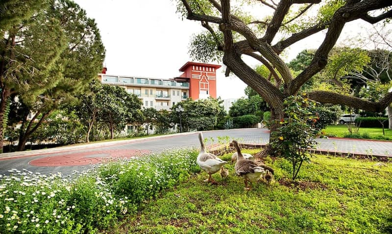 Galeri