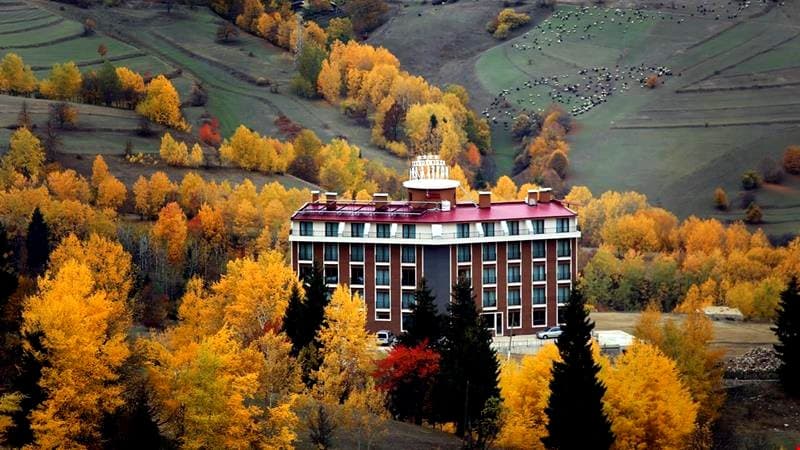 Black Forest Hotel
