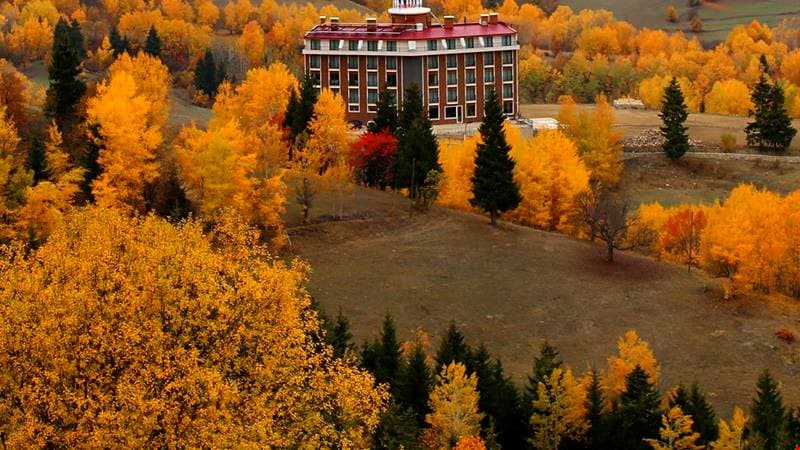 Black Forest Hotel