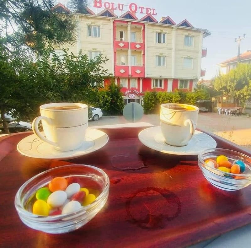Bolu Otel