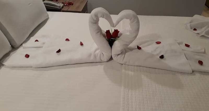 Bozkurt Otel Yeşil Eğin