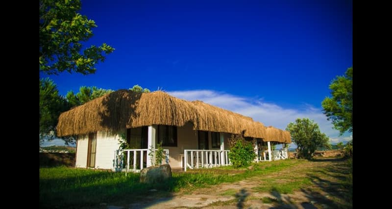 Cunda Fora Glamping