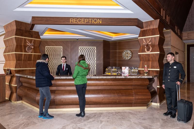Das 3917 Otel Erciyes