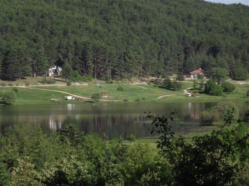 Galeri