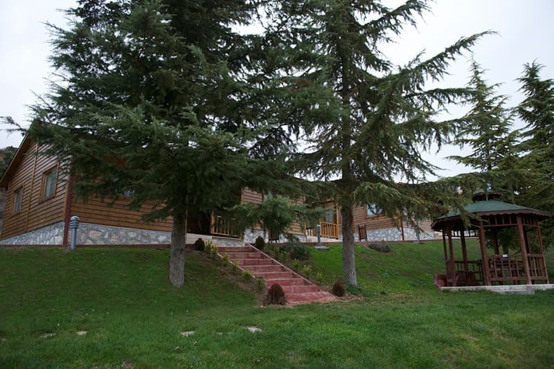 Galeri