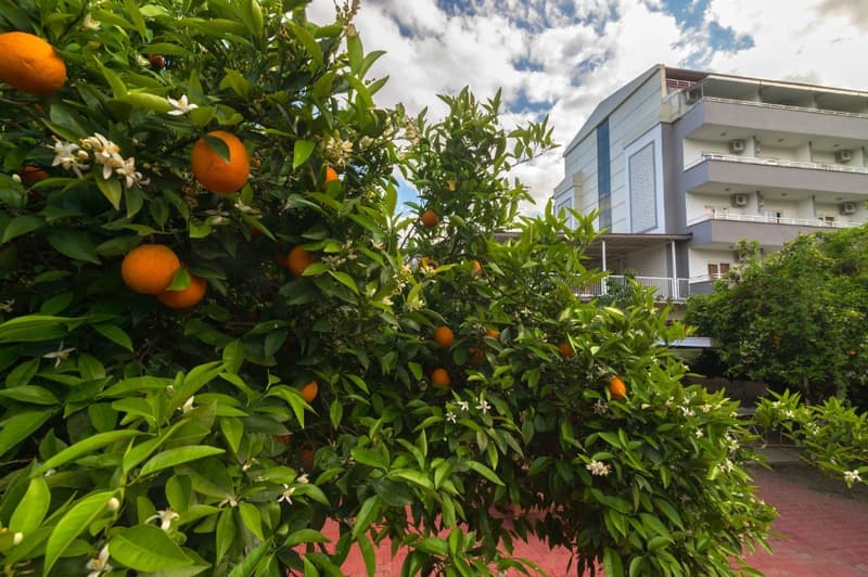 Grand Hotel Derin