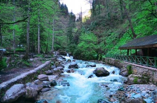Grand Mela Hotel Trabzon