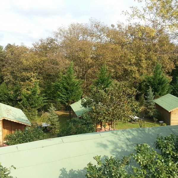 Green House Garden Park Hotel