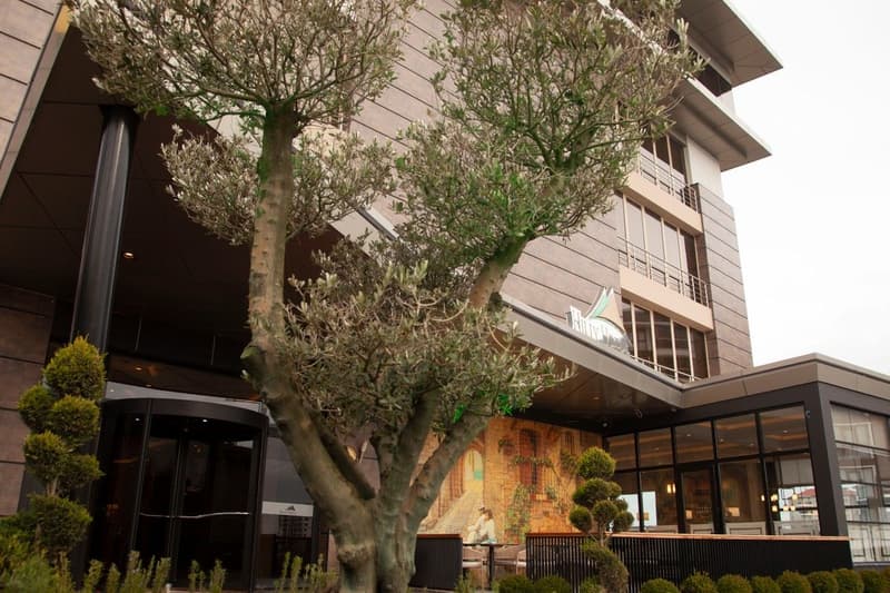 Hilly Hotel