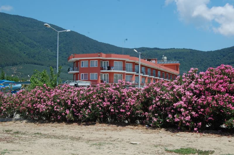 Galeri
