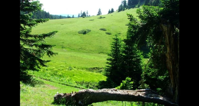 Ilgaz Derbent Otel