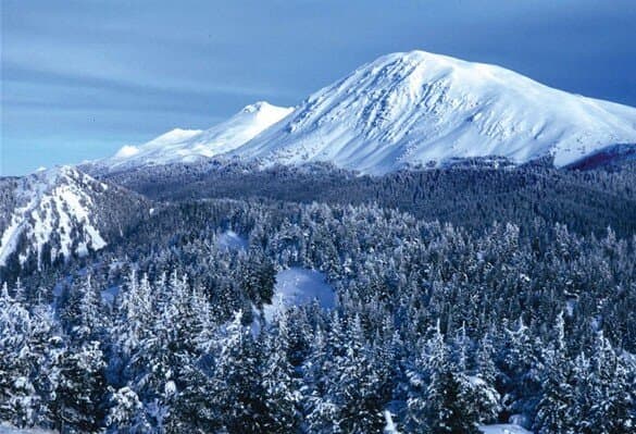 Ilgaz Nolana Mountain Resort