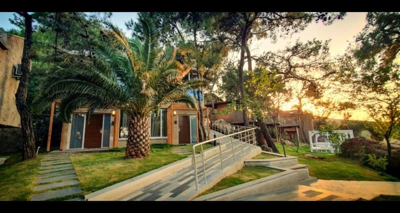 Ivy Sailing Resort Hotel