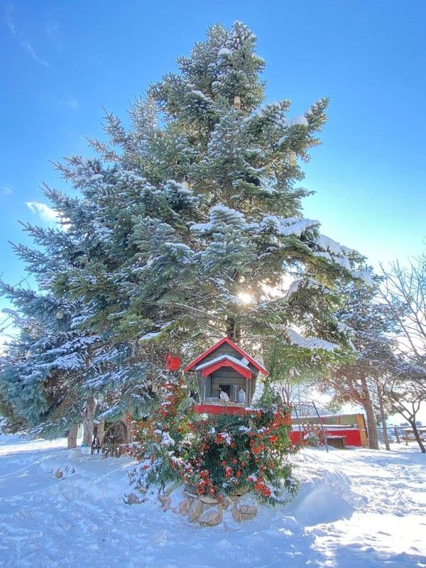 Kartaltepe Boutique Hotel