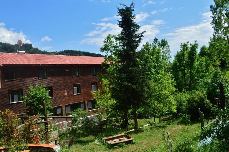 Küre Dağ Evi