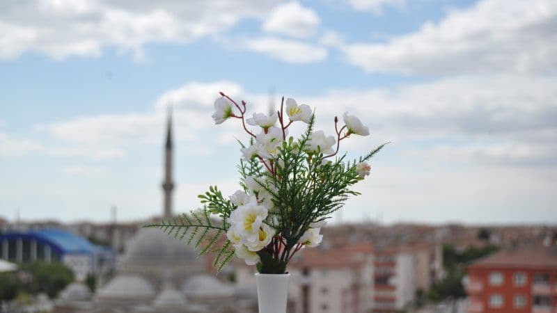 Galeri