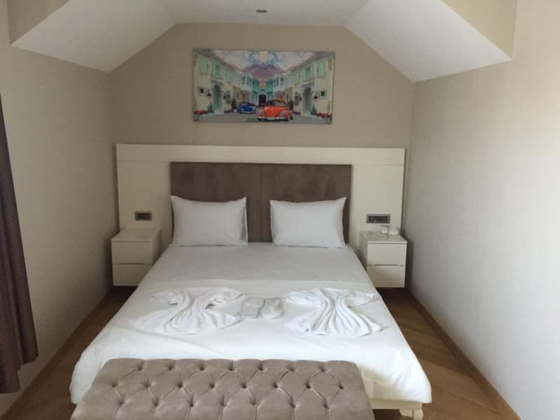 Leader Mansion Hotel & Suite