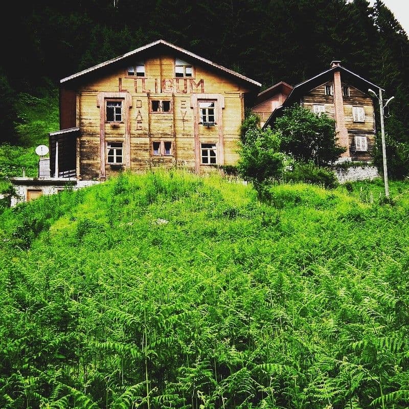 Liligum Dağ Evi