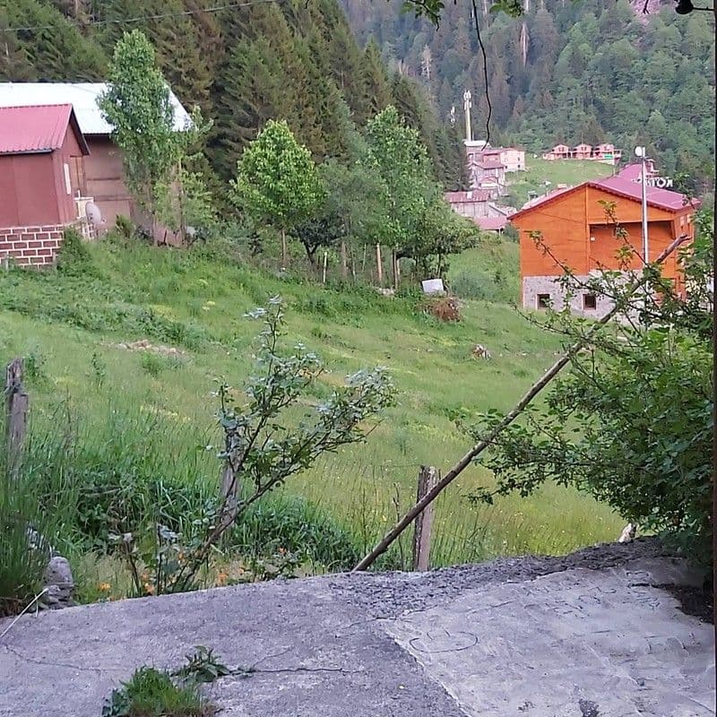 Galeri