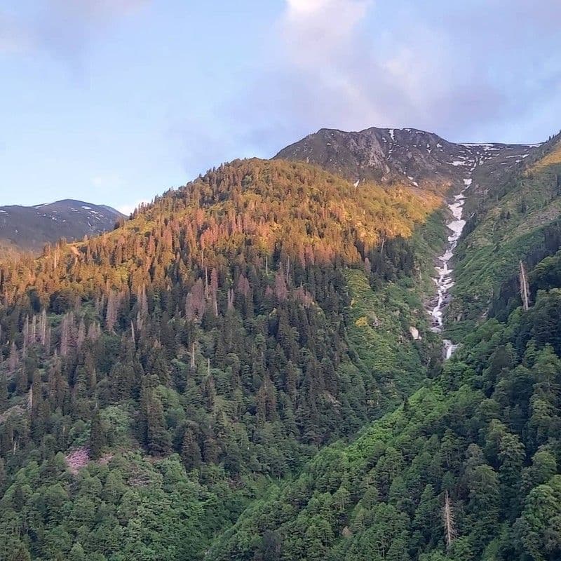 Galeri
