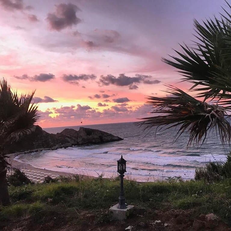Palm Beach Şile