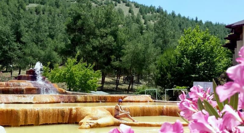 Pam Thermal Hotel Clinic & Spa Pamukkale