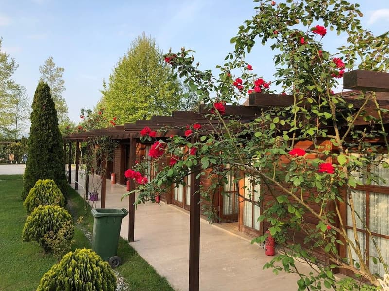 Sapanca Ogün Bungalov