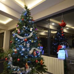 Snow Mount Hotel