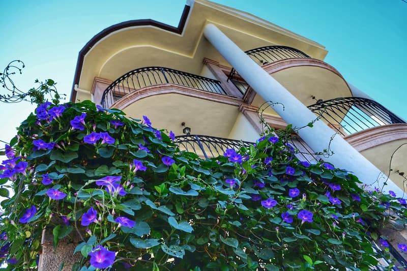 Stone Hill Otel