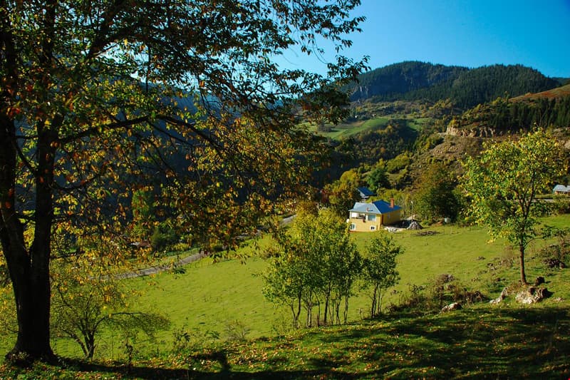 Süllü Dağ Evi